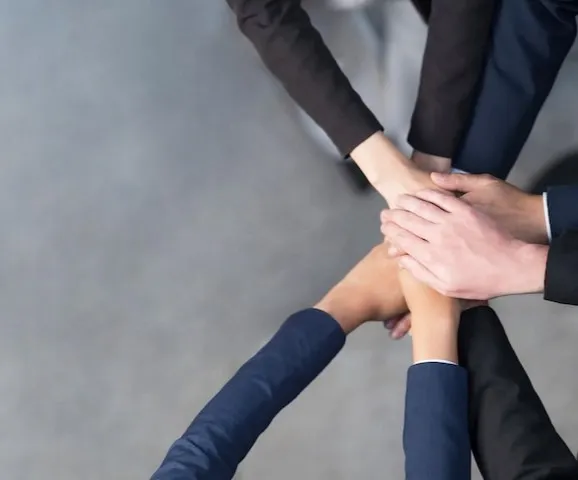 Our Team Collaboration